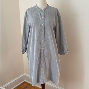 Everlane Size 10 Blue White Stripe Cotton Shirt Dress Button Front